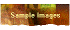 Sample Images