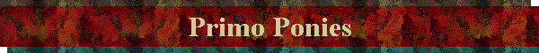 Primo Ponies
